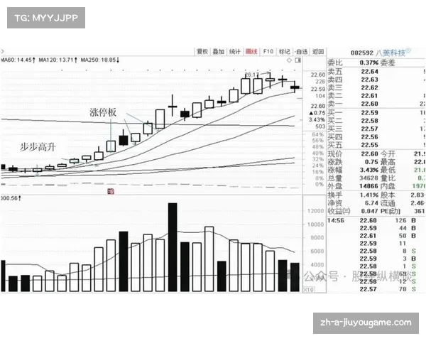 最近20个交易日平均成交量五十万的计算方式与市场影响分析 最近20个交易日平均成交量五十万的计算方式与市场影响分析